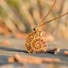 Fossil shell pendant