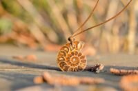 Fossil shell pendant
